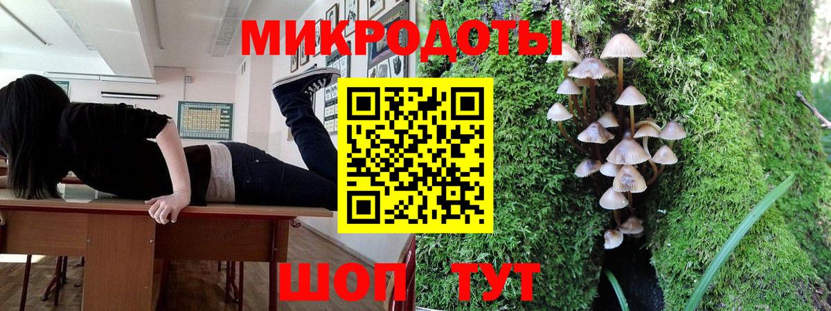 Псилоцибиновые грибы мицелий Сорочинск