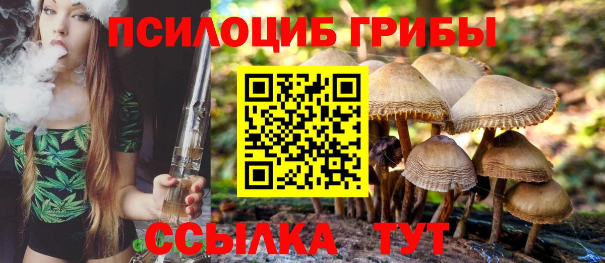 Сорочинск  Галлюциногенные грибы мухоморы  Вход с VPN  Галлюциногенные грибы прущие грибы 